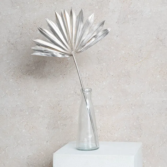 Preserved Dried Sun Cut Palm Leaf Champagne (40-45cmH)