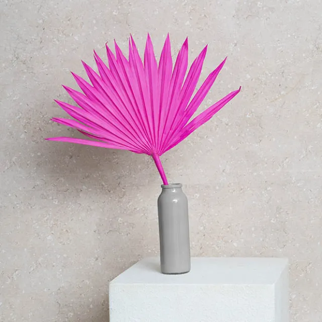 Preserved Dried Sun Cut Palm Leaf Hot Pink (40-45cmH)