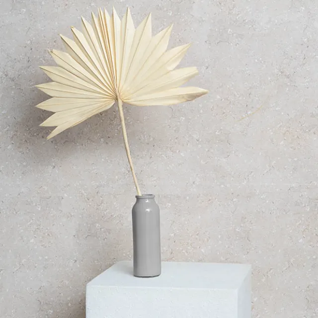 Preserved Dried Sun Cut Palm Leaf Light Beige (40-45cmH)