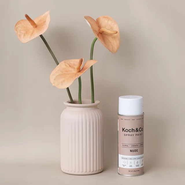 Floral Event Craft Spray Paint Nude (340g)