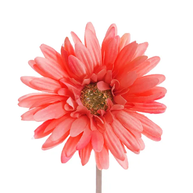 Gerbera Aztec Coral Pink (10cmDx54cmH)