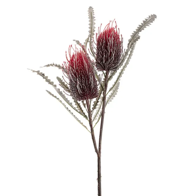 Real Touch Australian Banksia x 2 Head Spray Red (80cmH)
