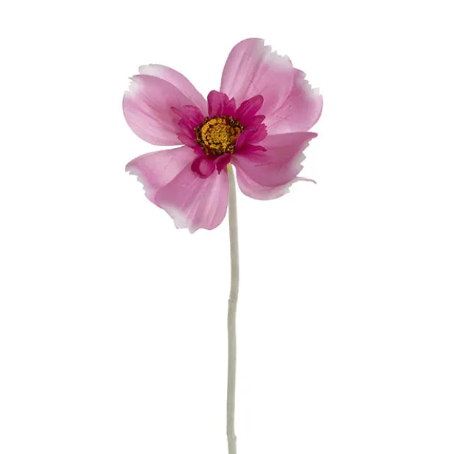 Queen Cosmos Stem Lilac (12cmDx56cmH)