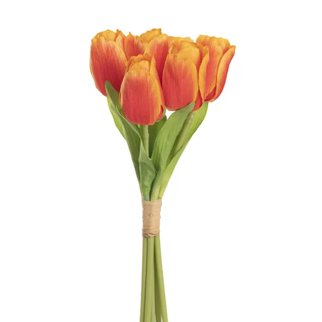 Dutch Tulip Bouquet x 7 Orange (30cmH)