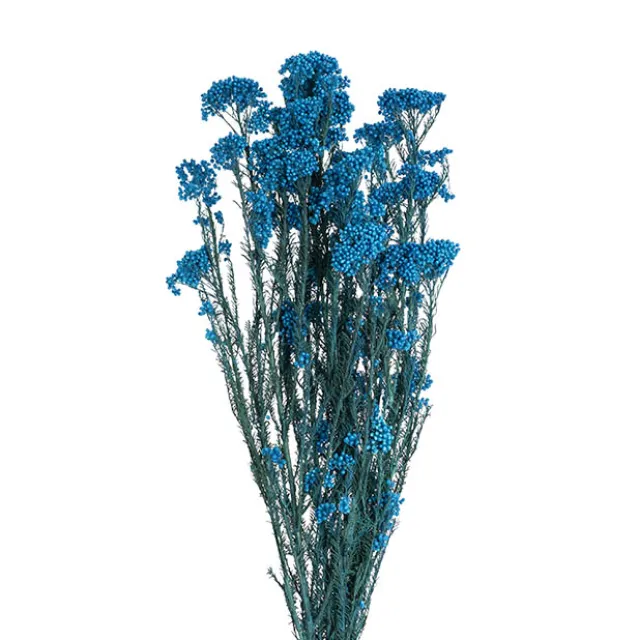 Preserved Dried Rice Flower Bunch 70g Blue
