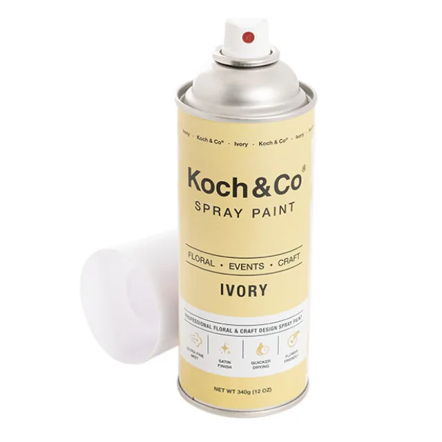 Floral Event Craft Spray Paint Ivory (340g)