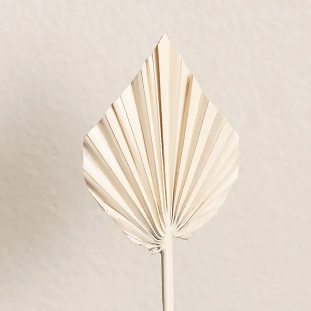 Floral Event Craft Spray Paint Ivory (340g)