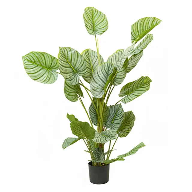 Real Touch Arrowroot Potted Plant Green (170cmH)