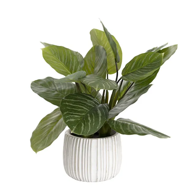 Real Touch Calathea Potted Plant Green (48cmH)