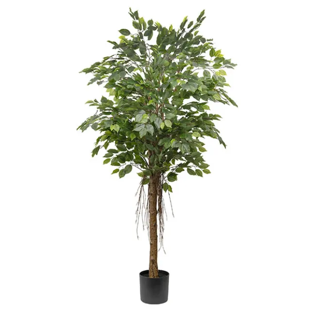 Real Touch Ficus Tree Green (180cmH)