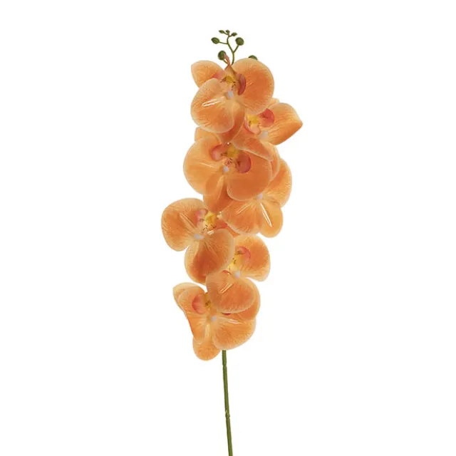 Real Touch Phalaenopsis Orchid Stem x7 Apricot (85cmH)