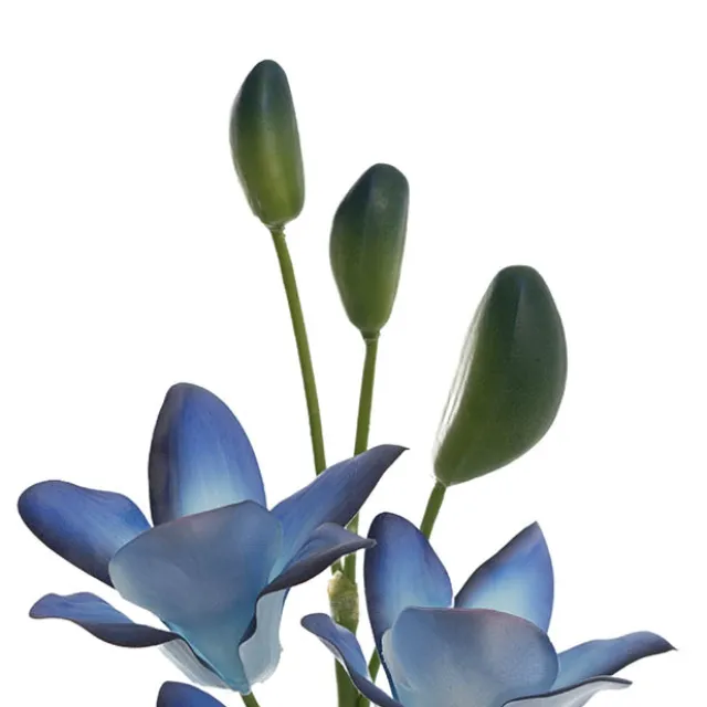 Real Touch Singapore Orchid x5 Flowers Ombre Blue (64cmH)