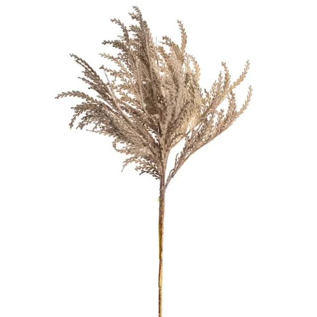 Reed Spray Soft Almond (81cmH)