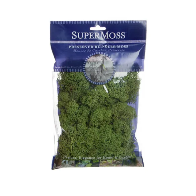 Reindeer Moss Preserved Bag Moss Light Green (55gm Bag)