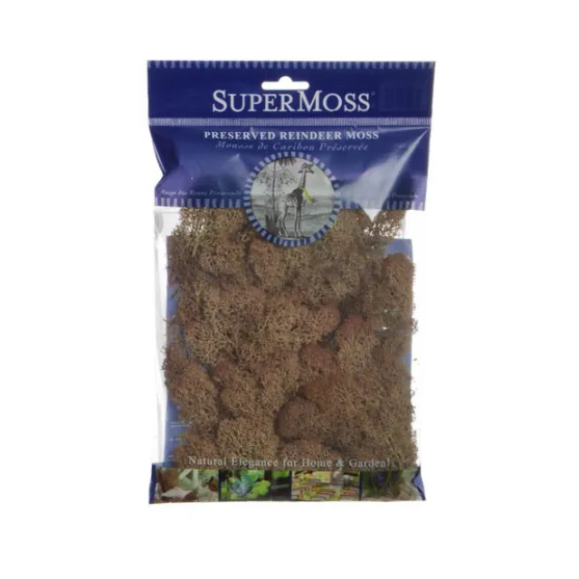 Reindeer Moss Preserved Bag Rust Brown (55gm Bag)