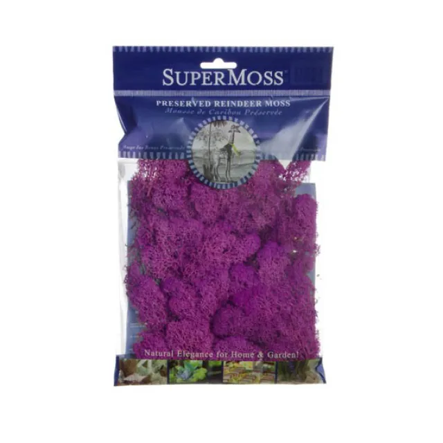 Reindeer Moss Preserved Bag Fuchsia (55gm Bag)
