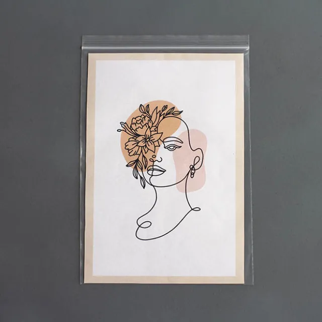 Resealable Press Seal Cello Bag Clear PK 100 (17Wx25cmH)