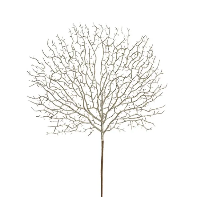 Round Twig Spray Champagne (40x66cmH)