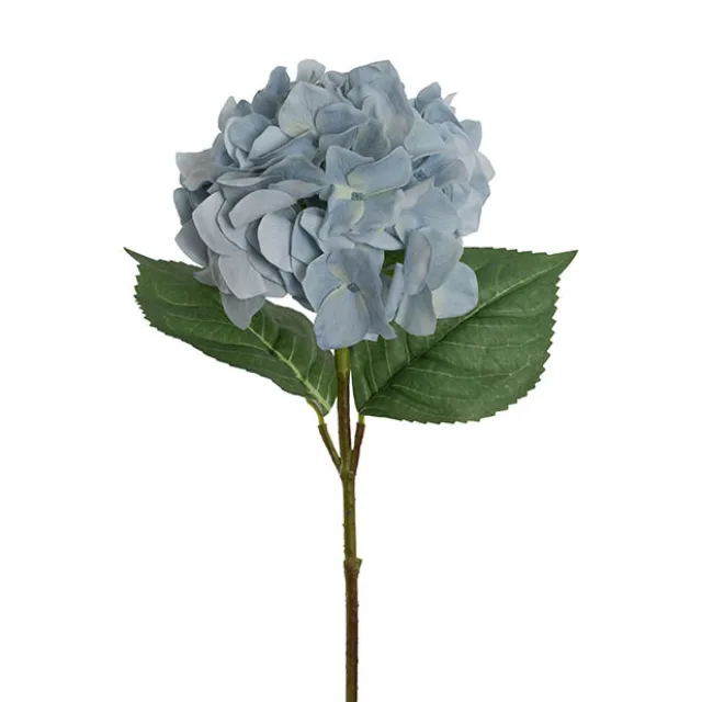 Royal Hydrangea Stem Blue Green (18cmDx78cmH)