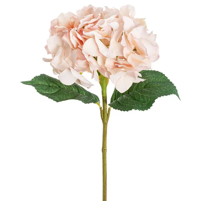 Royal Hydrangea Stem Soft Blush Pink (18cmDx78cmH)