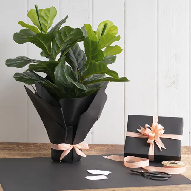 Premium Kraft Paper 80gsm Pack 100 Black (54x76cm)