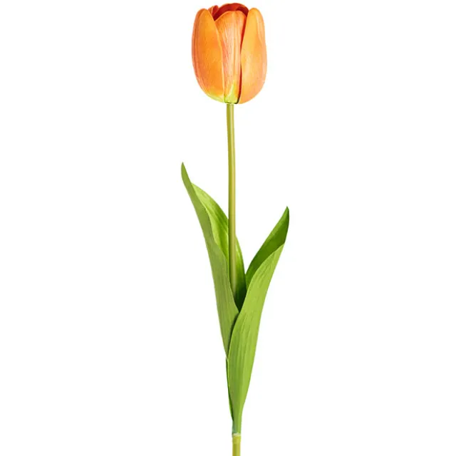 Real Look Tulip Orange (6cmDx63cmH)