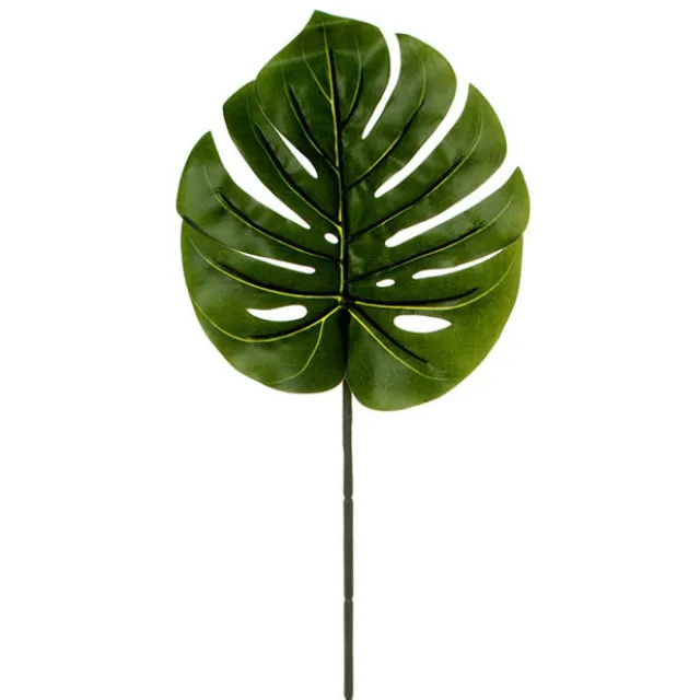 Philo Split Leaf Dark Green (89cmH)