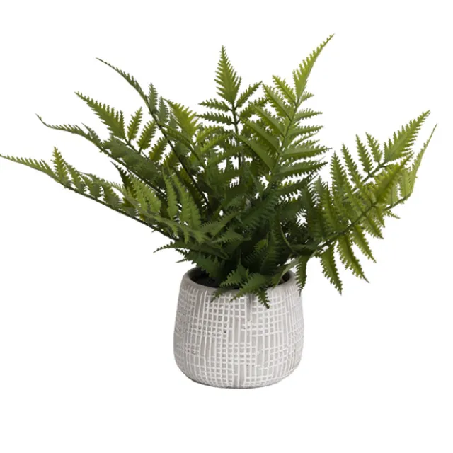 Artificial Parathelypteris Fern Potted Plant Green (33cmH)