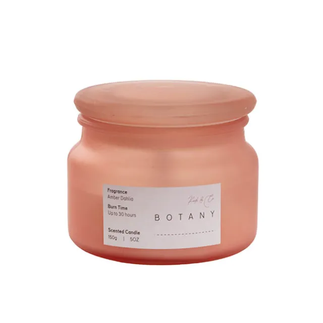 Scented Candle Botany Jar Amber Dahlia (150g)