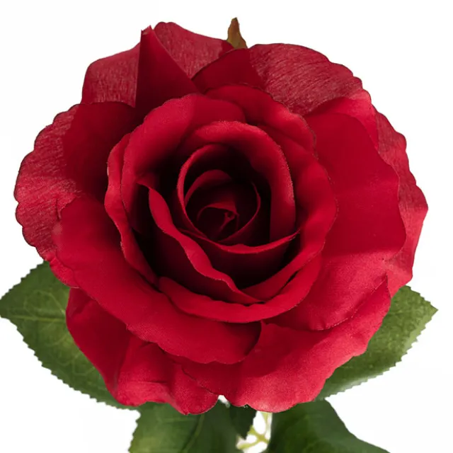 Siena Silk Rose Open Red (67cmH)