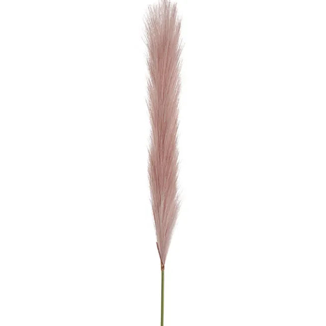 Single Stem Pampas Spray Dusty Pink (70cmH)
