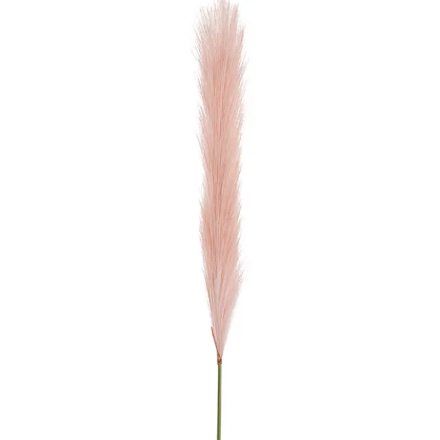 Single Stem Pampas Spray Soft Pink (70cmH)