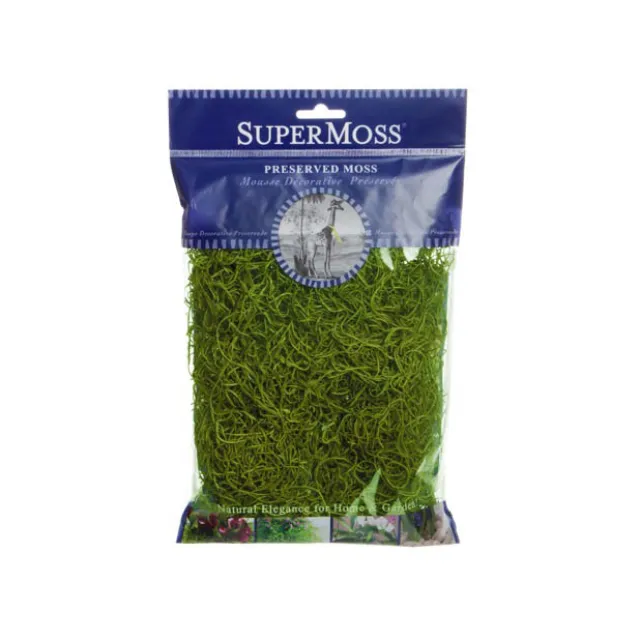 Spanish Moss Preserved Grass Green (55gm Bag)