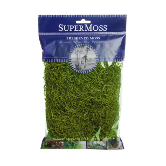 Spanish Moss Preserved Grass Green (110gm Bag)