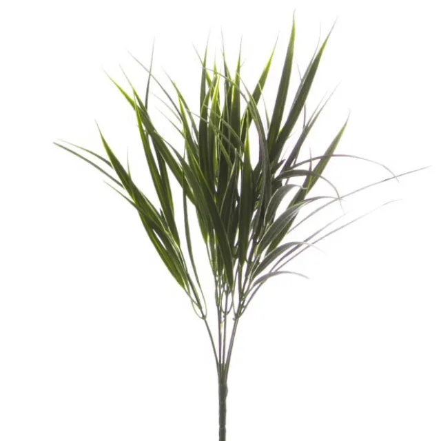 Spear Grass Bunch Green (38cmH)