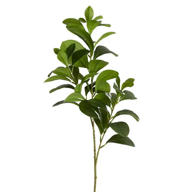 Artificial Real Look Peperomia Leaf Spray Green (65cmH)