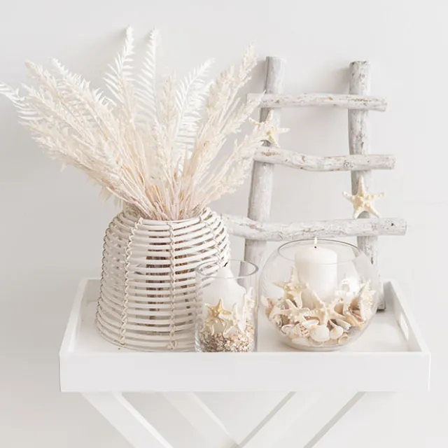 Starfish Decoration Small Natural (32pcs Per Jar)