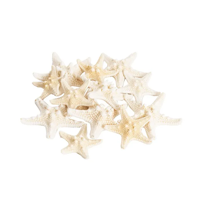 Starfish Decoration Small Natural (32pcs Per Jar)