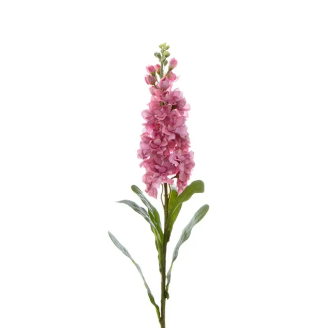 Stock Flower Stem Pink (80cmH)