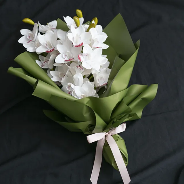 Cello Regal Pro 65mic Moss (50x70cm) Pack 100