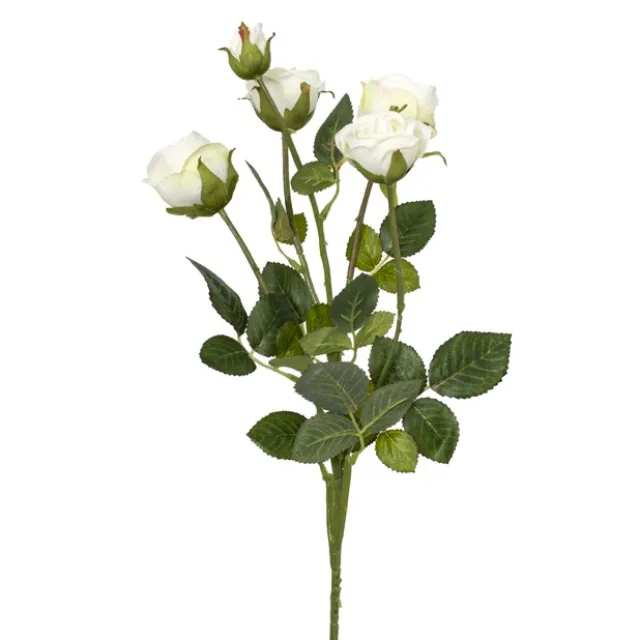 Tea Rose Spray 5 Heads White (65cm)