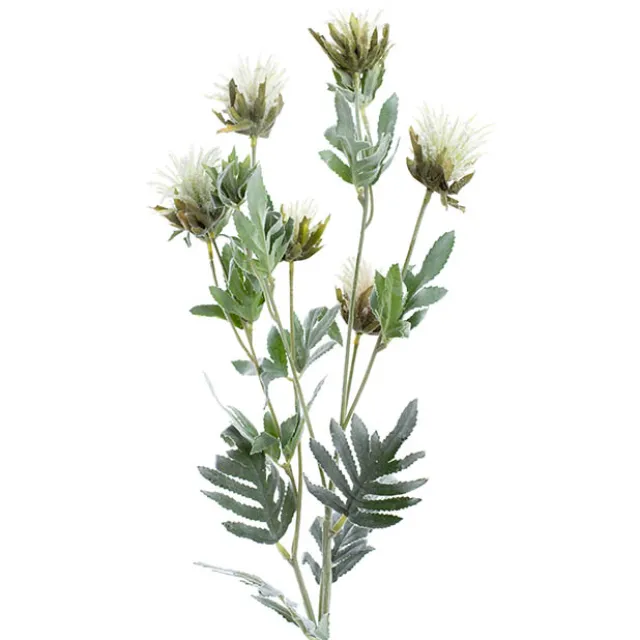 Thistle Flower White (83cmH)