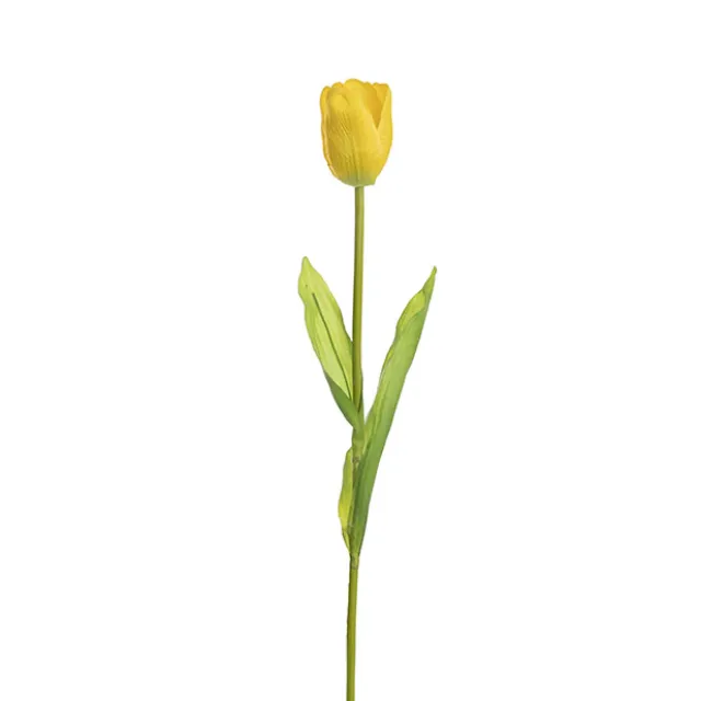 Tulip Single Stem Yellow (58cmH)