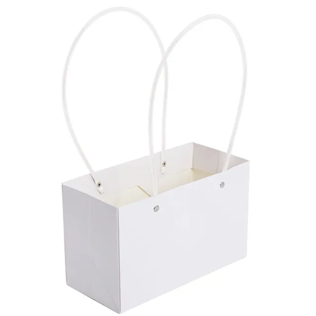 Flower Carry Bag Kraft White Rectangle Pk5 (22x10.5x13cmH)