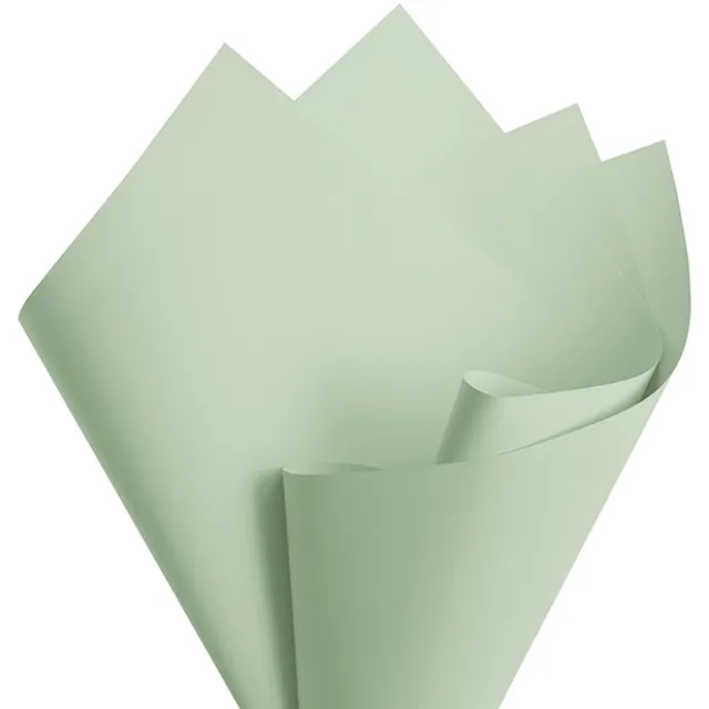 Cello Regal Pro 65mic Deep Sage (50x70cm) Pack 100