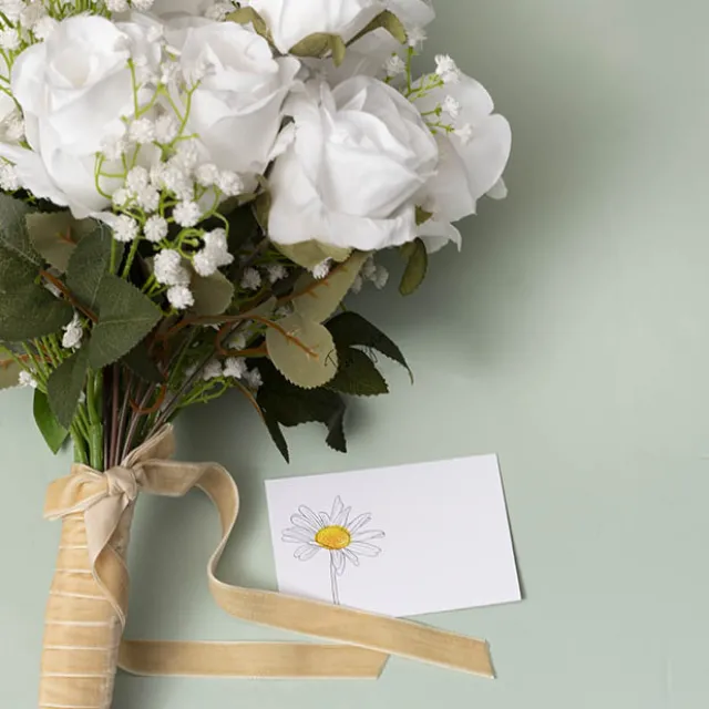 Cards White Hand Drawn Single Daisy (10x6.5cmH) Pack 50