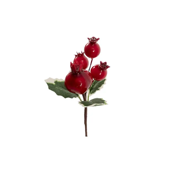 Mini Pomegrante Berry Pick Pack 6 Red (12cmH)