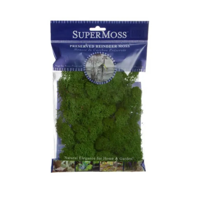 Reindeer Moss Preserved Bag Forest Green (55gm Bag)