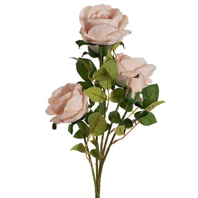 Velvet Rose x 5 Head Spray Powder Pink (75cmH)