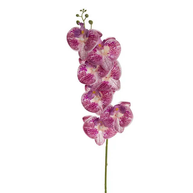 Real Touch Phalaenopsis Orchid Stem x7 Head Purple (85cmH)